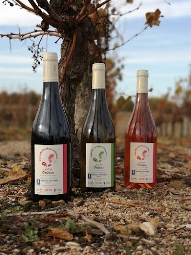 Vignoble du Chant d'Oiseaux