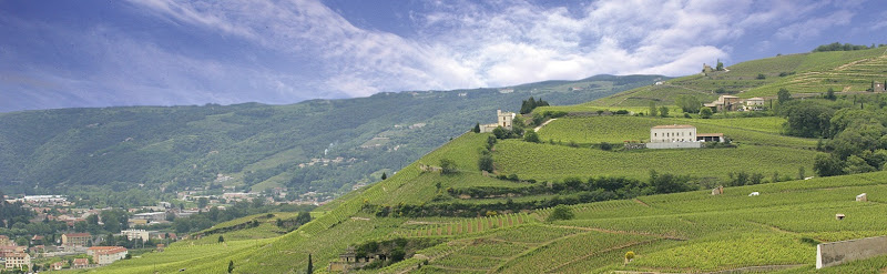 Caveau M. CHAPOUTIER