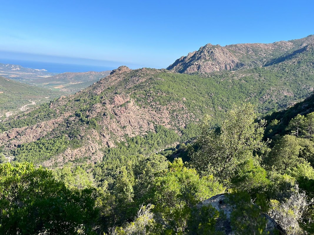 Forêt de Bonifatu