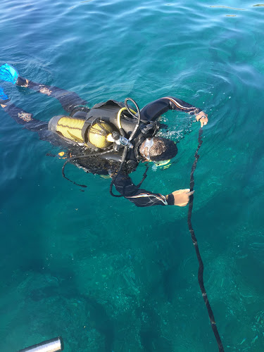 La Sirène Plongée à Argelès-sur-Mer