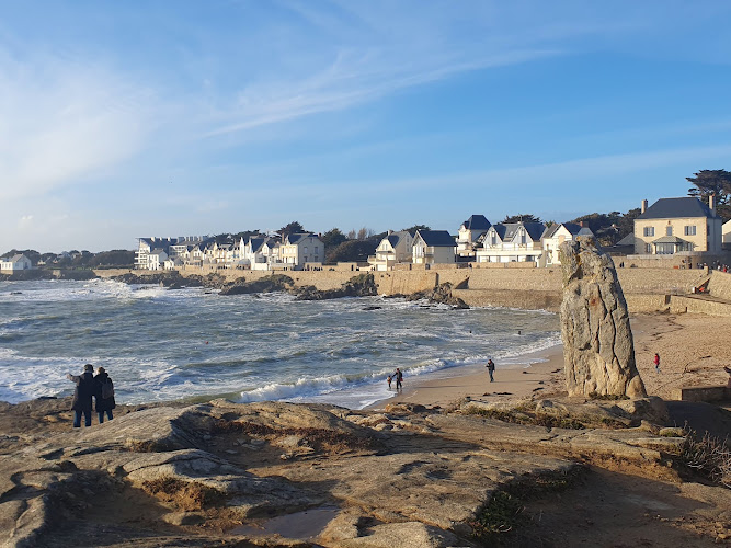 La côte sauvage