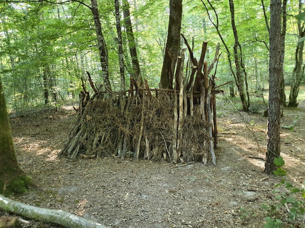 Forêt de Moulière