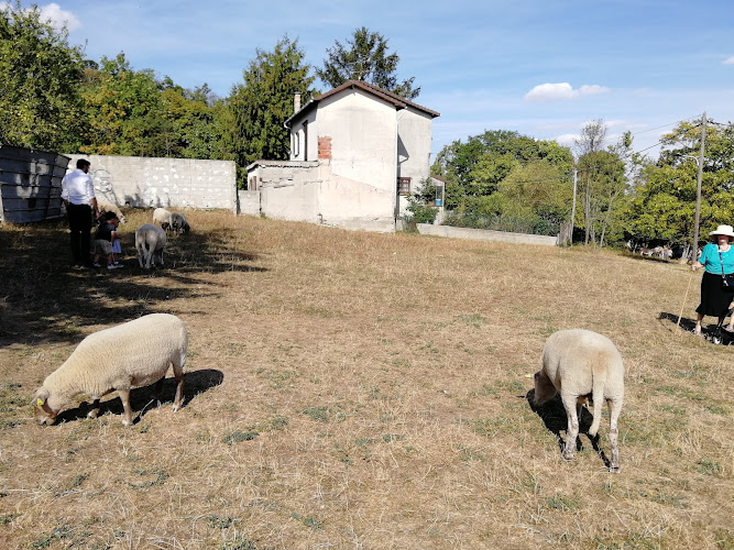 Ferme Pédagogique de la Butte Pinson
