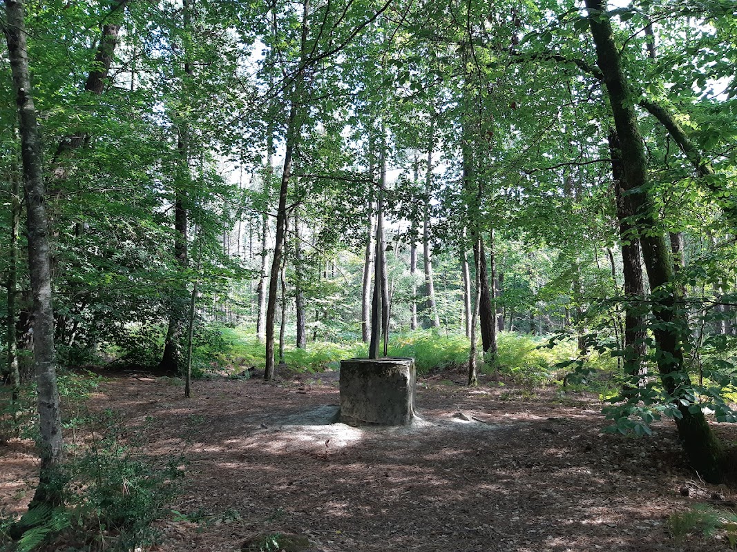 Forêt du Gâvre