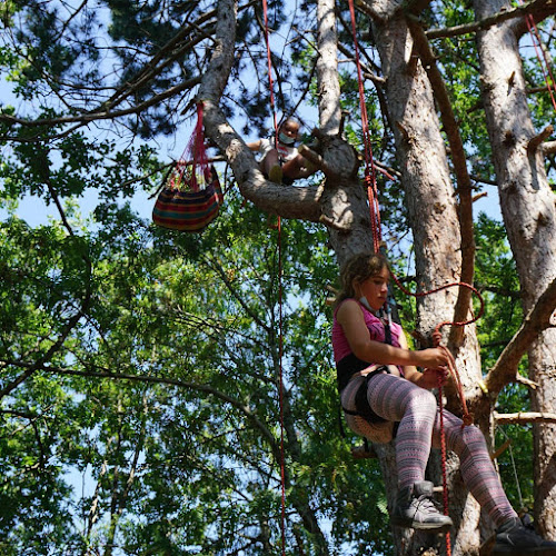 L'Arbre Voyageur