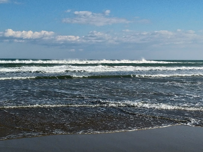 Plage sauvage de la Vielle Nouvelle