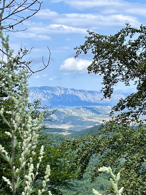 Forêt de Boucheville