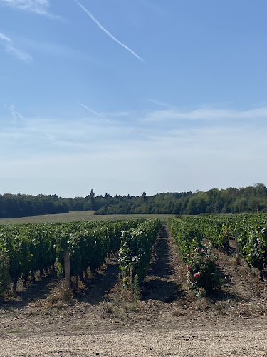 Le Clos des Vignes de Cray