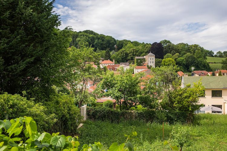 Château de Vaux - Vignobles Molozay