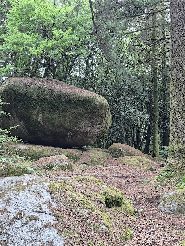 Forêt de Chabrières