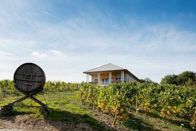 Vignoble Marchais - Le Chai de Thouaré sur Loire
