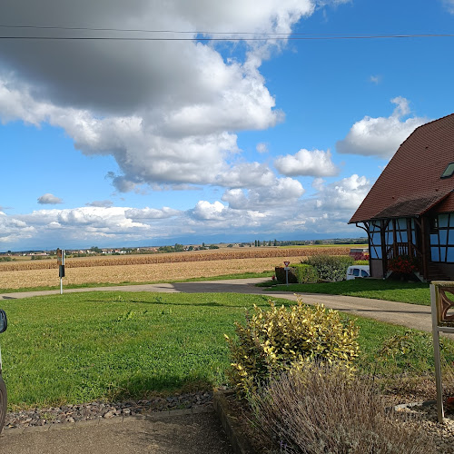 Domaine BOHR - Vins Fins & Crémants D'Alsace