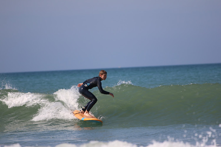 mojo surf