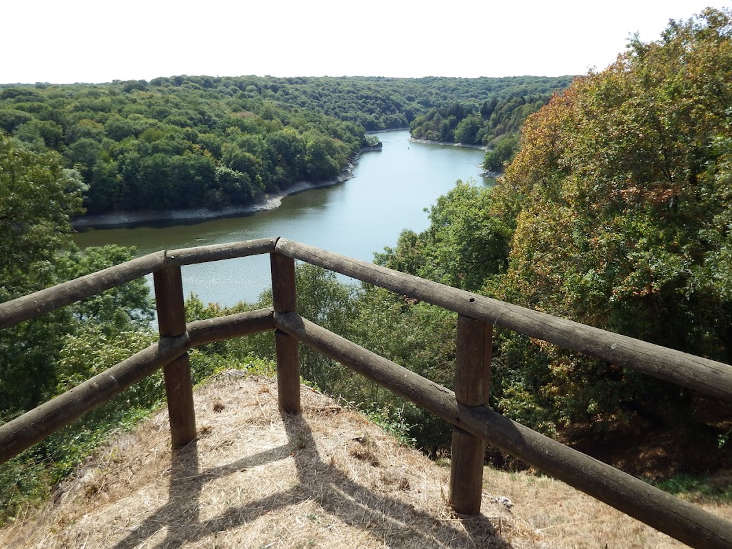Forêt de Mervent-Vouvant