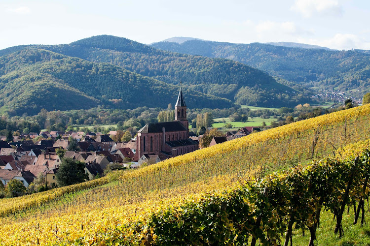 Domaine Schoenheitz
