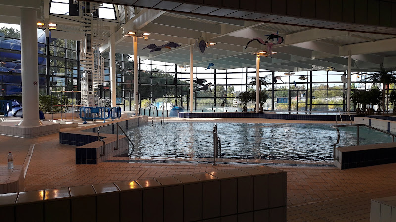 Centre Aquatique Alre'O