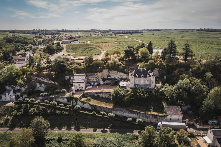 Château de Targé, Paul Pisani-Ferry