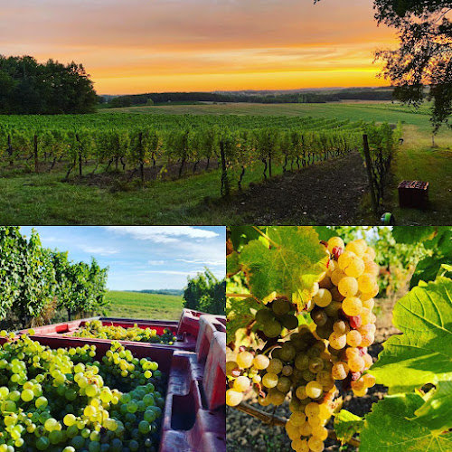 Domaine de Cadeillac - Bertrand HENRY