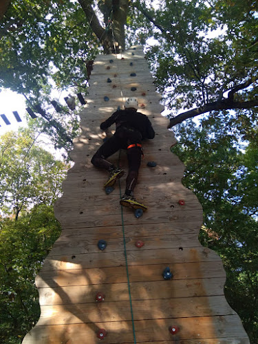 Chichoune Accroforest