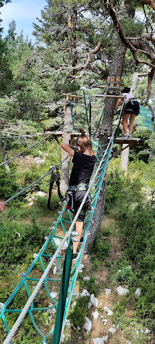 Arbre et Aventure la Moulière
