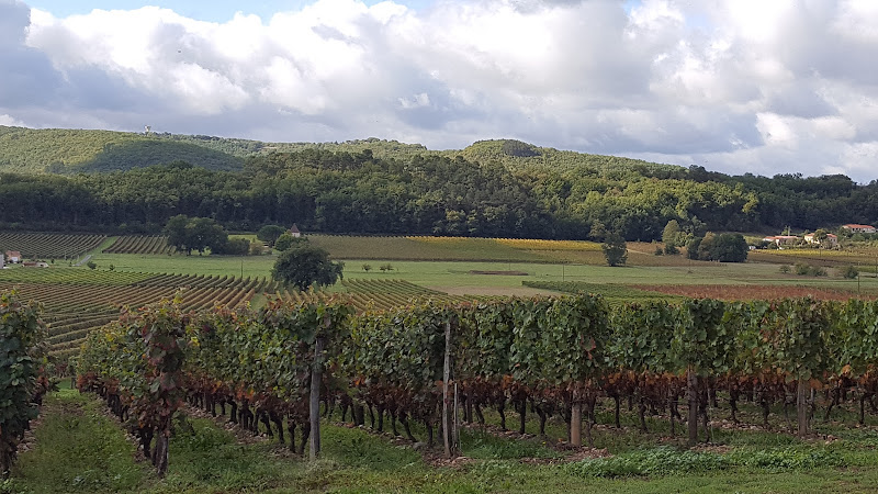 Clos Triguedina