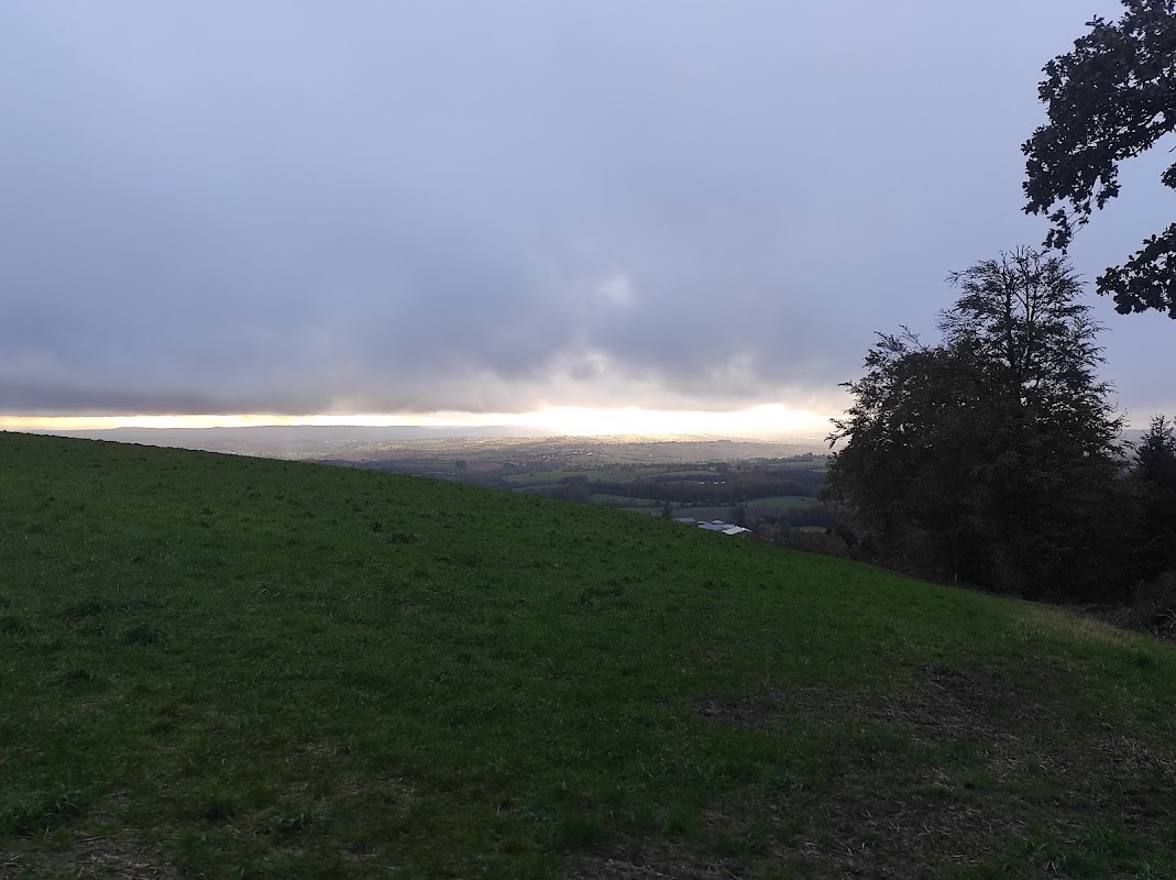 Forêt du Lagast