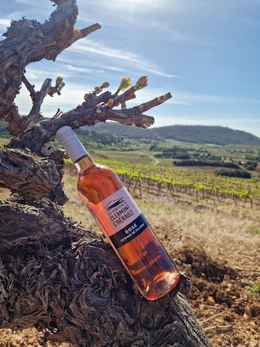 Cave Cooperative Vinification