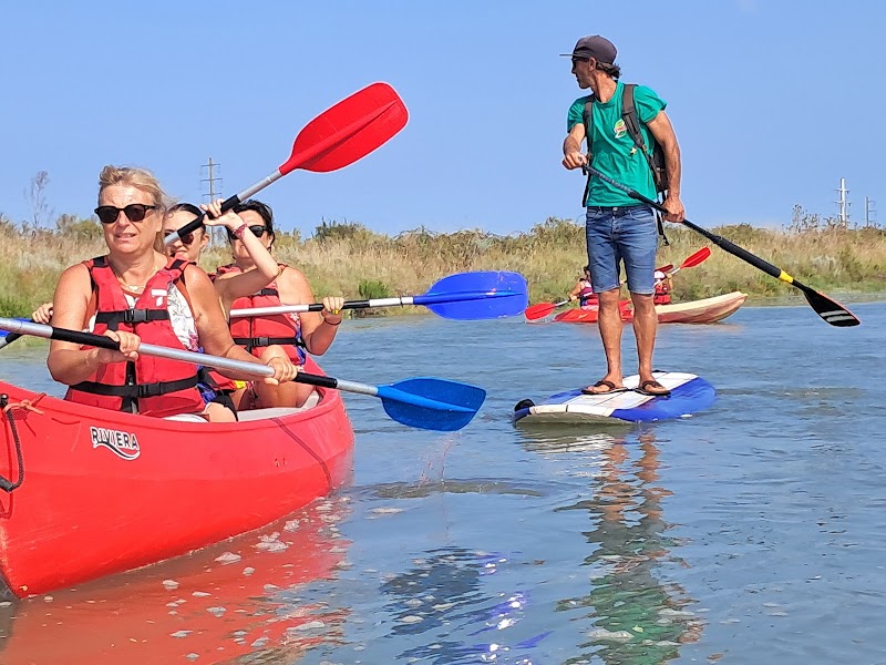 SURFARI - Le Marais (Canoë - Kayak & Barque électrique)