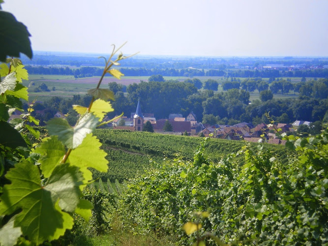 Domaine Dischler André