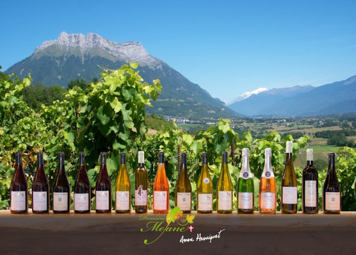 Domaine de Méjane
