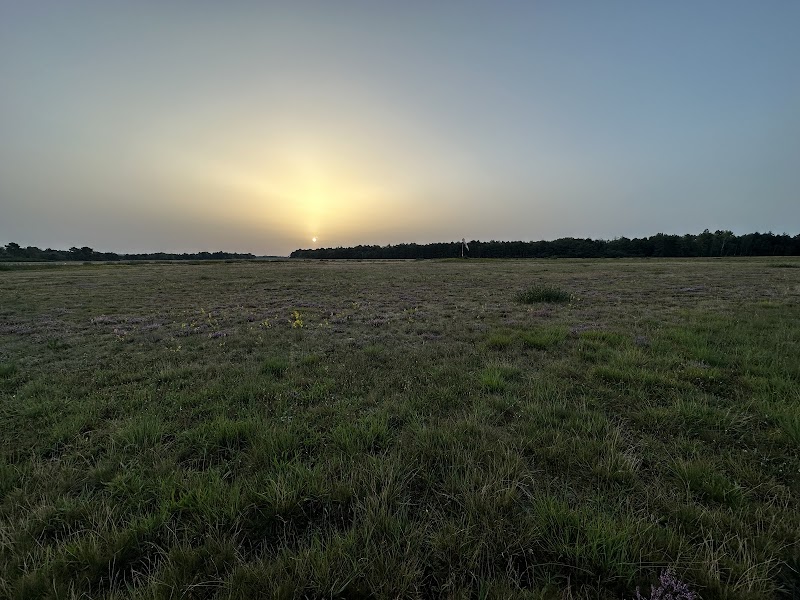 Aero Club Paul Metairie