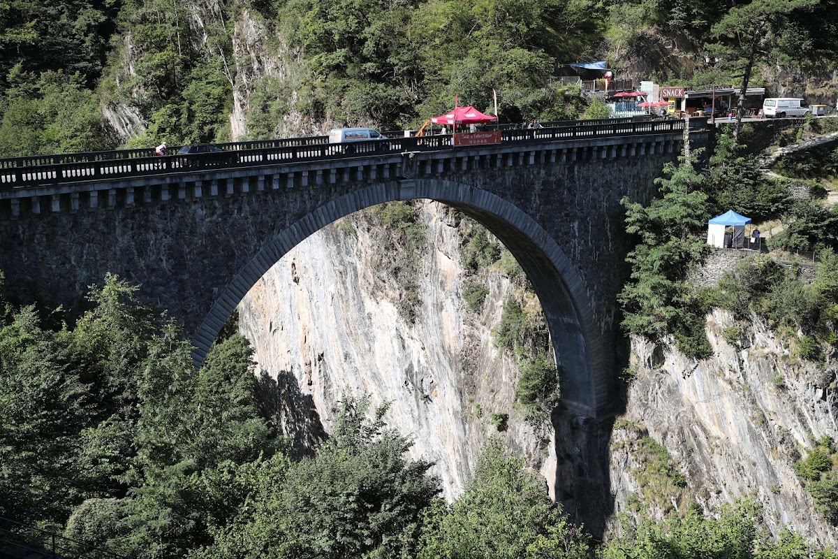 Elastic Crocodil Bungee pyrenees