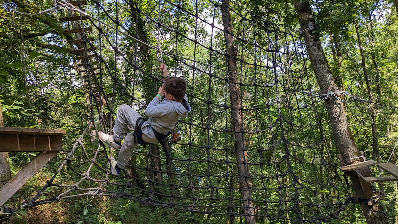 Le bois des Elfes