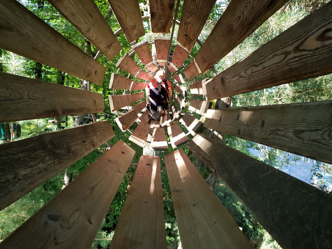 Tarz en Arbre