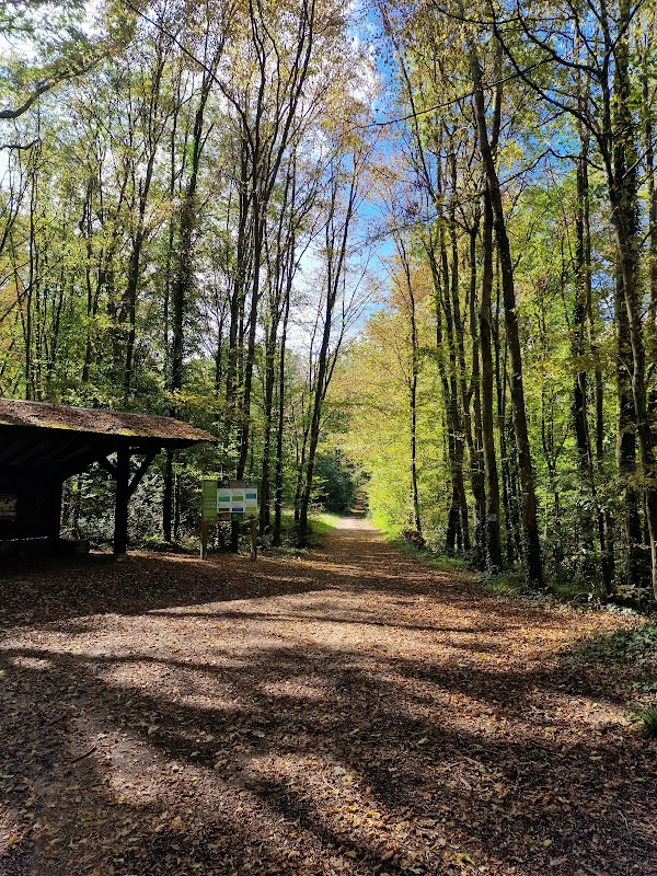 Bois de la Madeleine