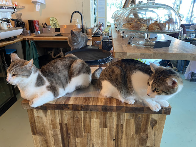 La P'tite Griffe Café