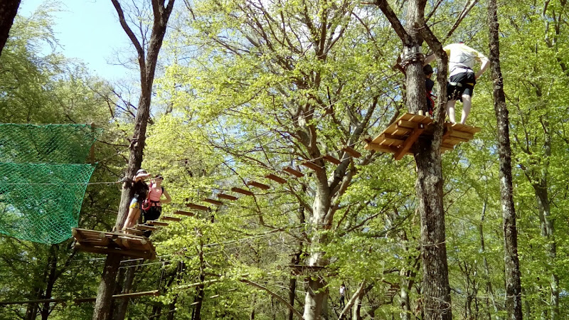 Accrobranche La Forêt de Robin
