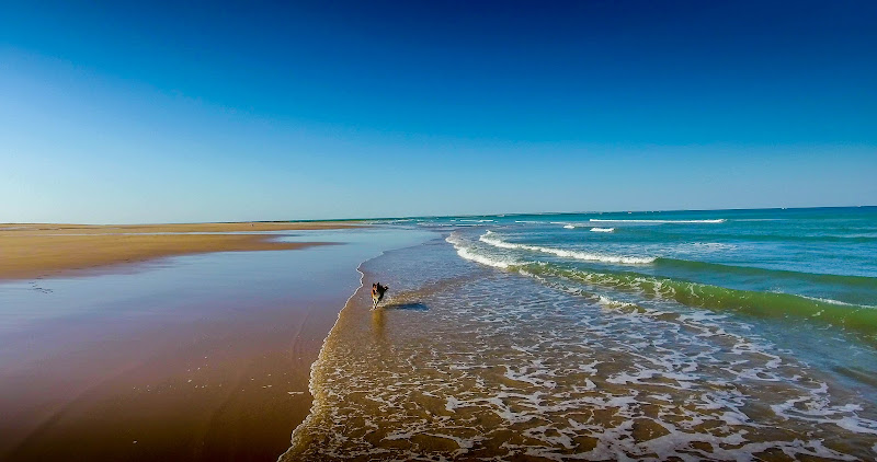 Plage de la Terrière
