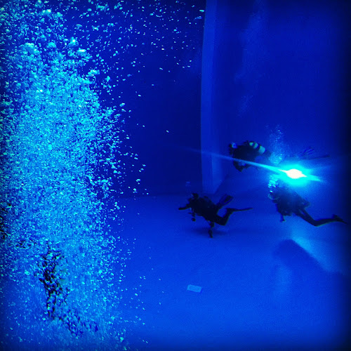 Ronchin SubAquatic Club - RSAC