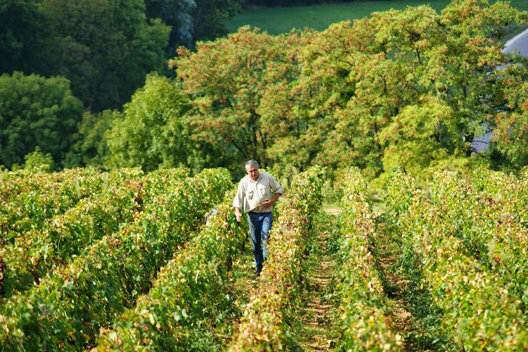 Domaine Bonnardot