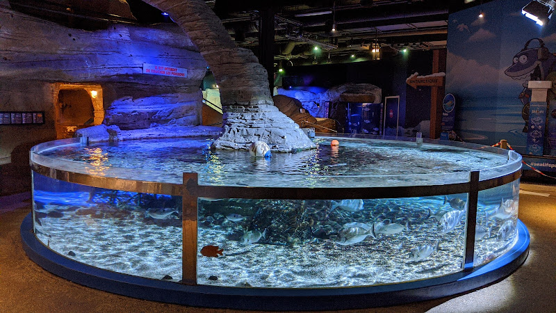 SEA LIFE Val d'Europe