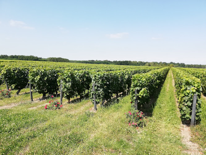 Domaine Des Souterrains