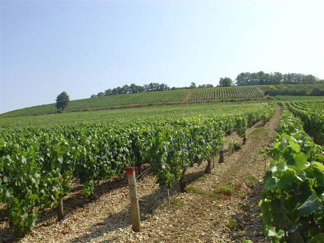 Domaine Céline et Frédéric Gueguen