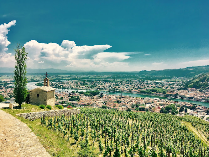Rhône Trip