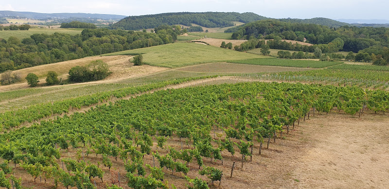 Château d'Arlay - Son Histoire, ses Vins.