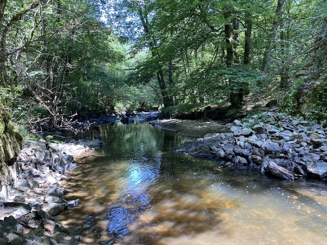 Forêt de la Luzège
