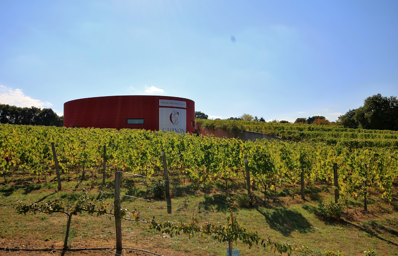 Domaine Pierre & Bertrand Couly