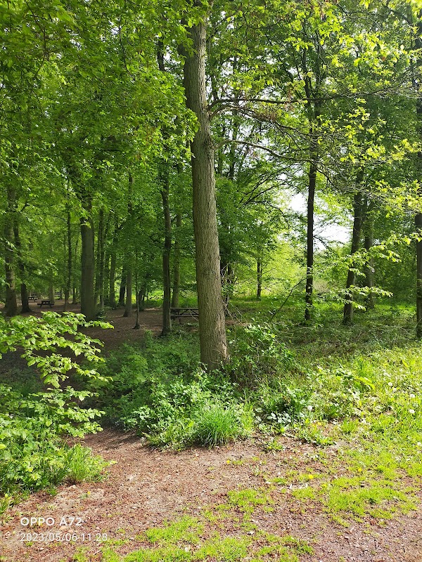 Le Bois de Phalempin
