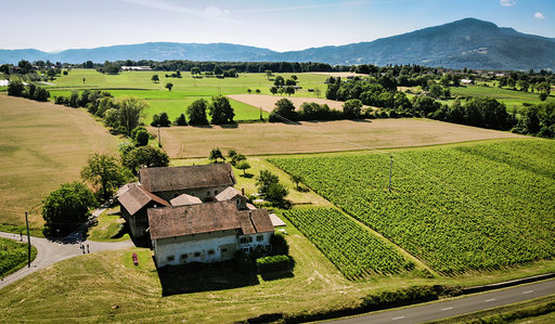 Domaine de Senoche