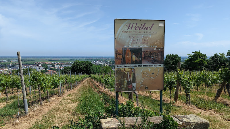 Vins WEIBEL Marcel et Fils